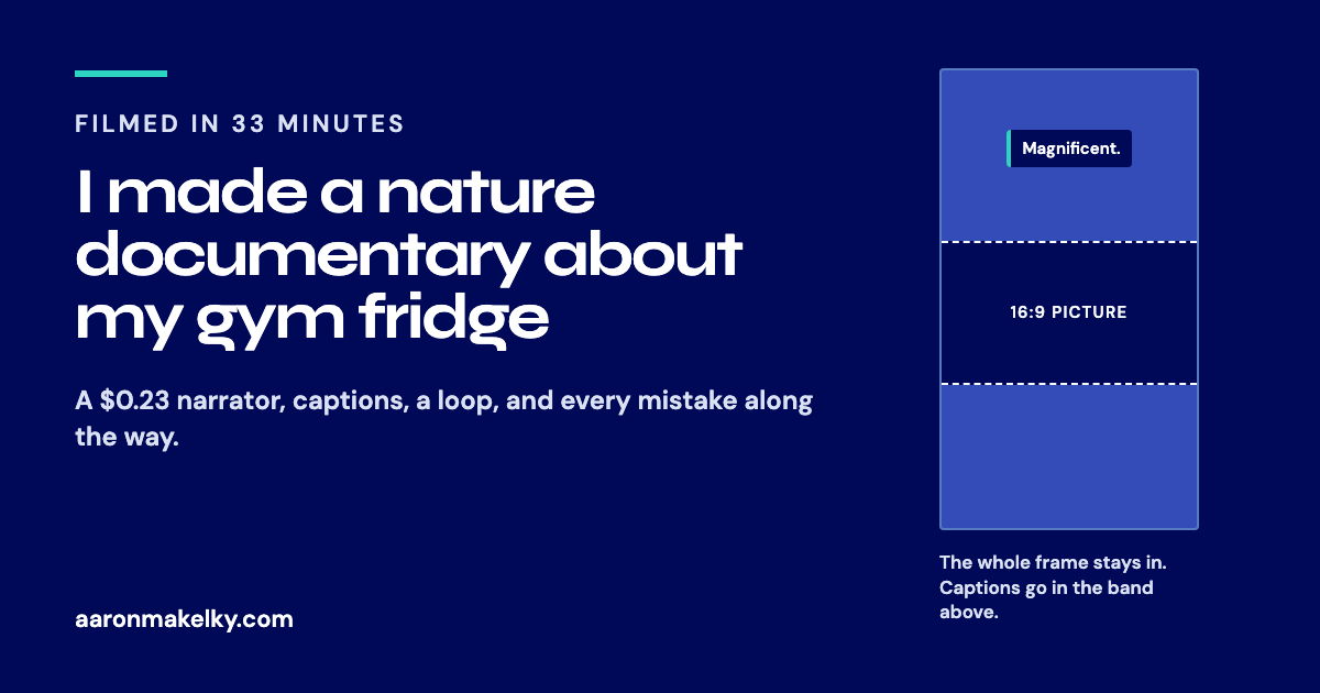 Navy and teal title card reading I made a nature documentary about my gym fridge, with a diagram of a 16:9 frame inside a 9:16 frame